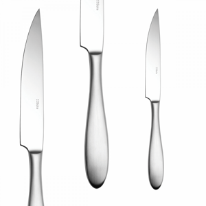 Sola - Steakový nůž s dutou rukojetí 24,5cm – Turin (103790)