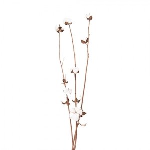 Bílo hnědá dekorační květina bavlník – 80 cm